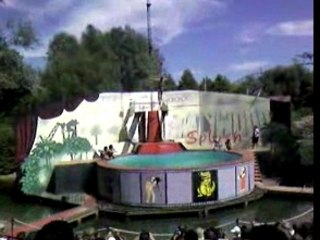 Walygator plongeon de haut vol