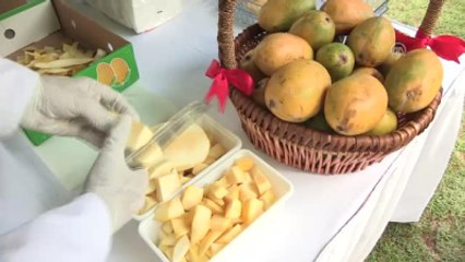 Pakistan Büyükelçiliği'nde Mango Festivali