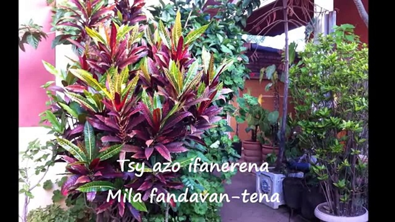 TSY IZANY NO ILAINA FA FIFANKATIAVANA  ♥ ♥ ♥