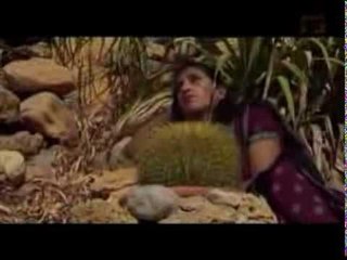 Naseebo Lal - Aj Kabootar Mera Thak Haar - Kabootar Ki Wapsi - Album 2