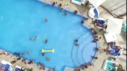 L'Algérino - Panama [Clip Officiel]