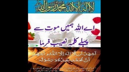 یااللہ ہم سب کو موت کے وقت کلمہ نصیب فرما DAILY  دعا