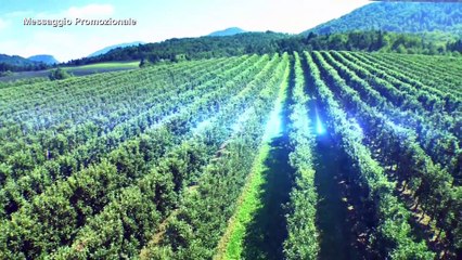 Amichevole Zebre - Benetton 5-13 - Primo tempo integrale