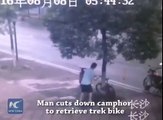 ملة مهبول قص شجرة كي يسرق دراجة