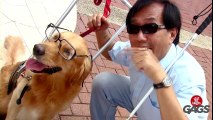 Dog Getting Its Geek On! - JFL Gags Asia Edition