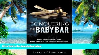 Big Deals  Conquering the Baby Bar: Your Comprehesnsive Guide to the First-Year Law Students Exam