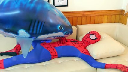 Spiderman vs Joker vs SHARK ATTACK! Funny superheroes in real life Prank ^.^-SGyWO1As1jo