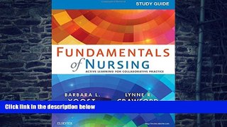 Big Deals  Study Guide for Fundamentals of Nursing, 1e  Free Full Read Best Seller