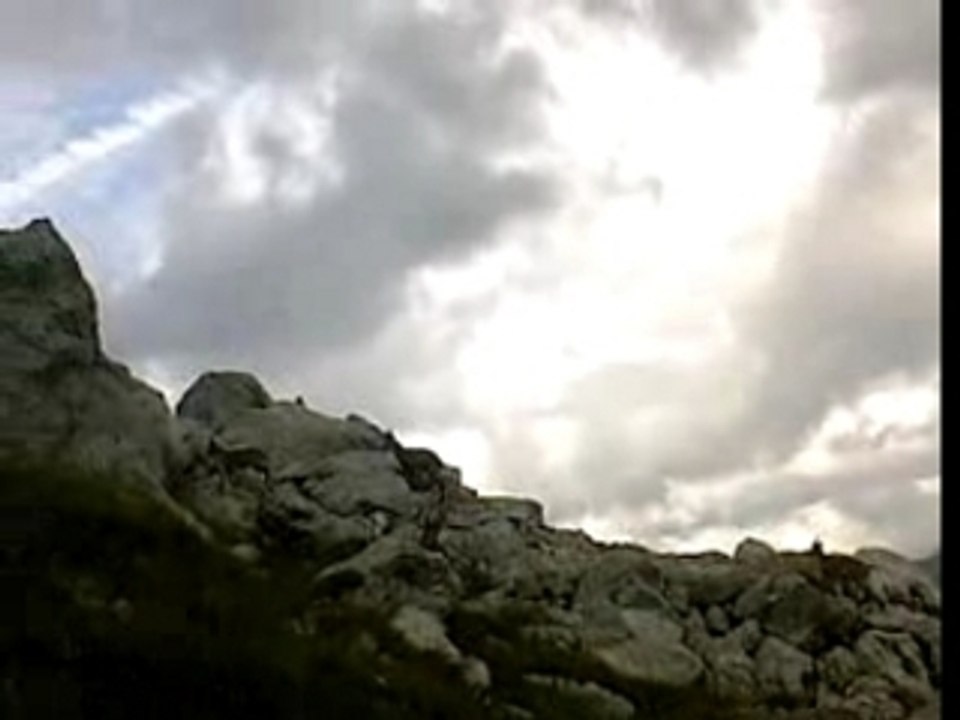 bouquetins au lac de peyre