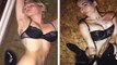 Miley Cyrus Strips Down To BRA For Racy W Magazine Shoot
