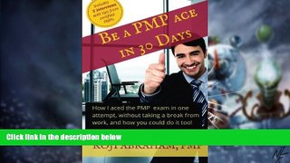 Big Deals  Be a PMP Ace in 30 Days  Free Full Read Best Seller