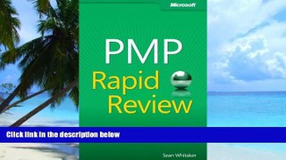 Big Deals  PMP Rapid Review  Best Seller Books Most Wanted