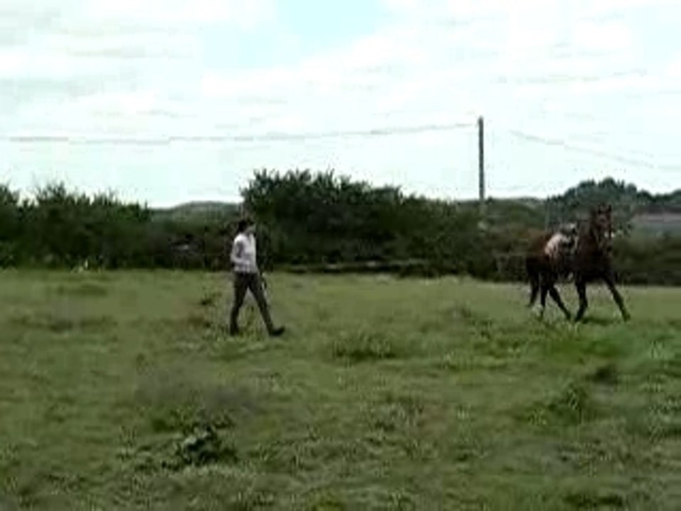 P1050071