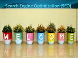 Search Engine Optimization(SEO)