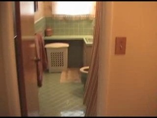 Beautiful Livonia Living (19996 Weyher, Livonia, MI)