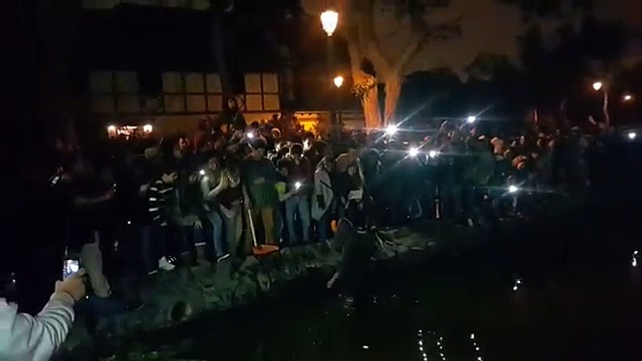 Caída de celular en laguna por atrapar un Pokémon