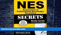 Big Deals  NES Assessment of Professional Knowledge: Secondary Secrets Study Guide: NES Test