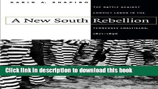PDF A New South Rebellion: The Battle against Convict Labor in the Tennessee Coalfields, 1871-1896