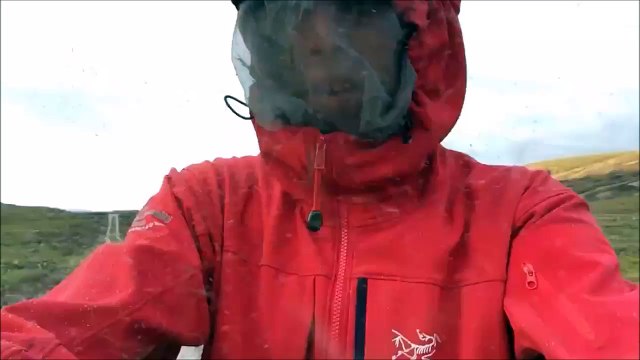 Des milliers de moustiques.... Va passer la nuit la-bas