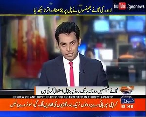 Funny…Pakistani TV reporter Interviews buffaloes for his news report