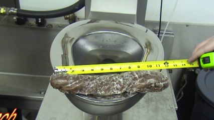 Les toilettes des prisons américaines avalent TOUT ! Test