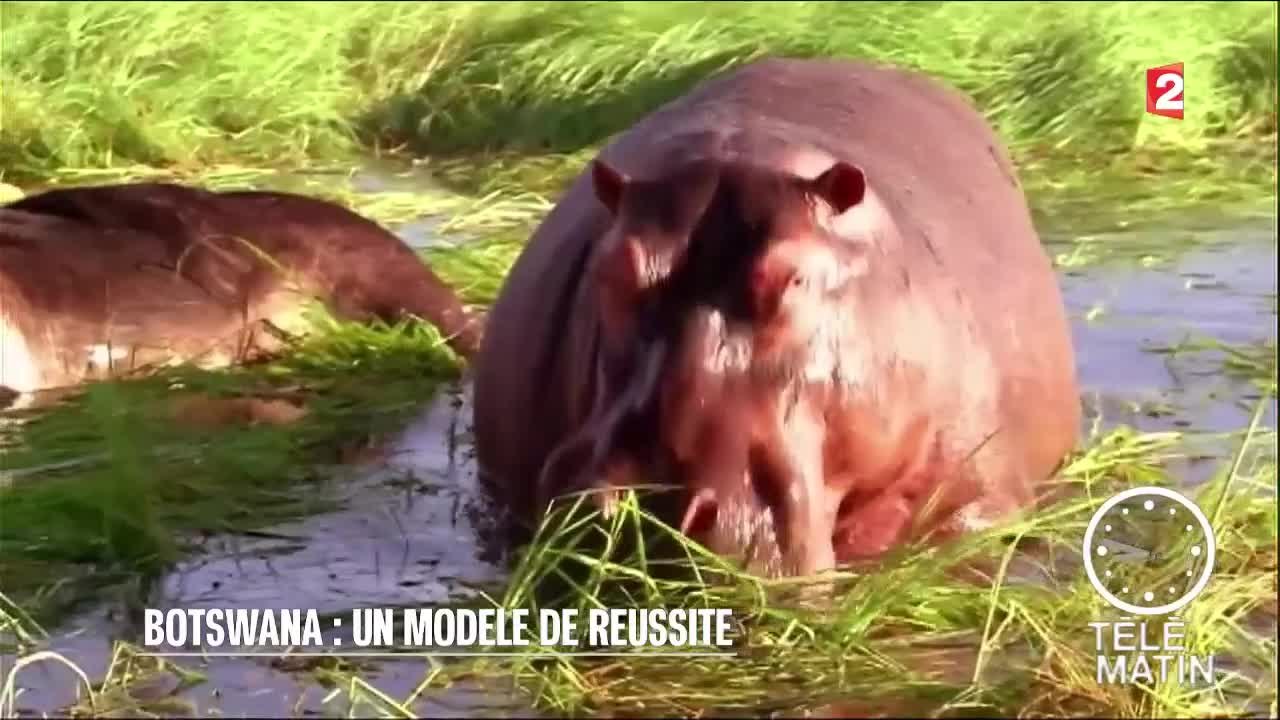 Botswana : un modèle de réussite
