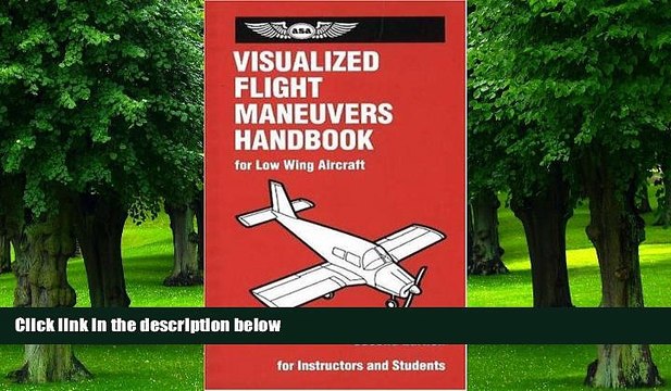 Big Deals Visualized Flight Maneuvers Handbook: For Low-Wing Aircraft, Revised Second Edition