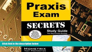 Big Deals  Praxis Exam Secrets Study Guide: Praxis Test Review for the Praxis I PPST