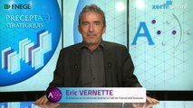 Eric Vernette, L'influence des e-leaders d’opinion dans les médias et réseaux sociaux online