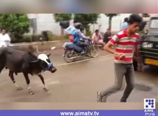 گاڑی کی سروس تو دیکھی ہوگی ، گائے کی سروس بھی دیکھ لیں