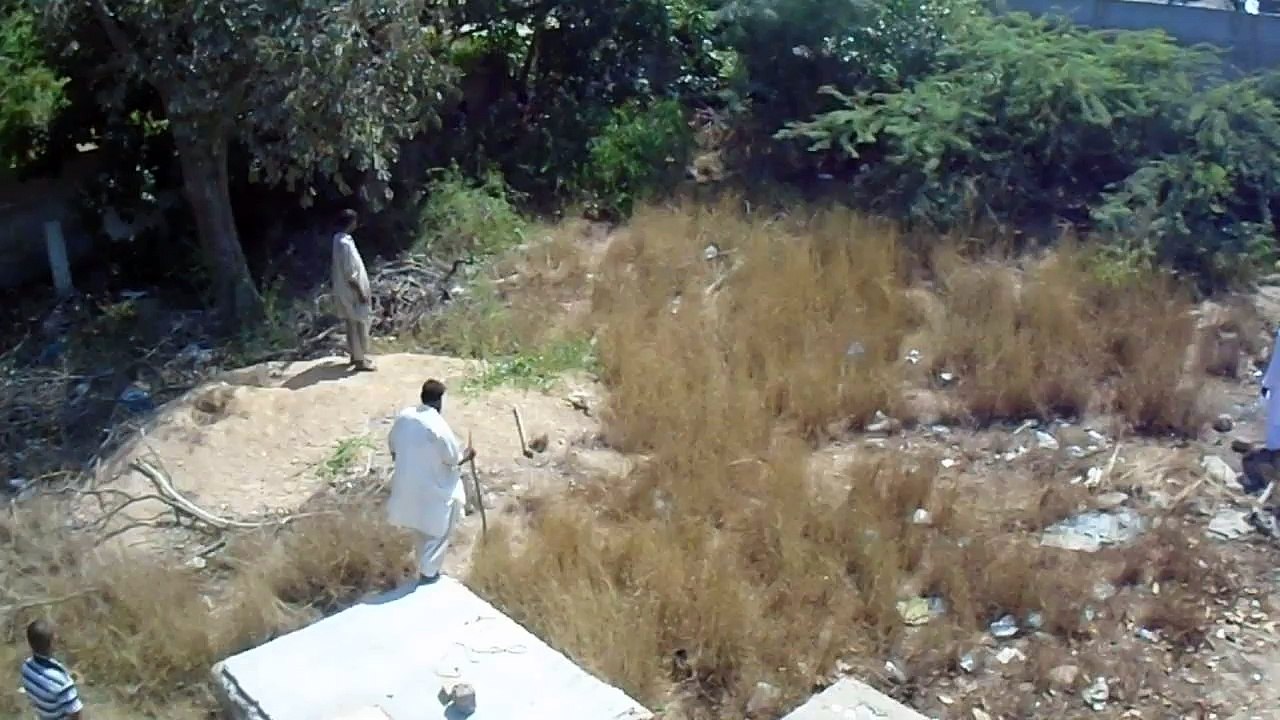 COW in Action