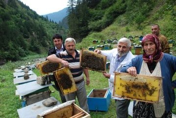 Anzer Balı Çılgınlığı! Alıcısı Bir Yıl Önceden Sıraya Giriyor