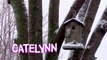 Teen Mom (Season 6) | ‘Catelynn Has a Revelation in Therapy Official Sneak Peek | MTV