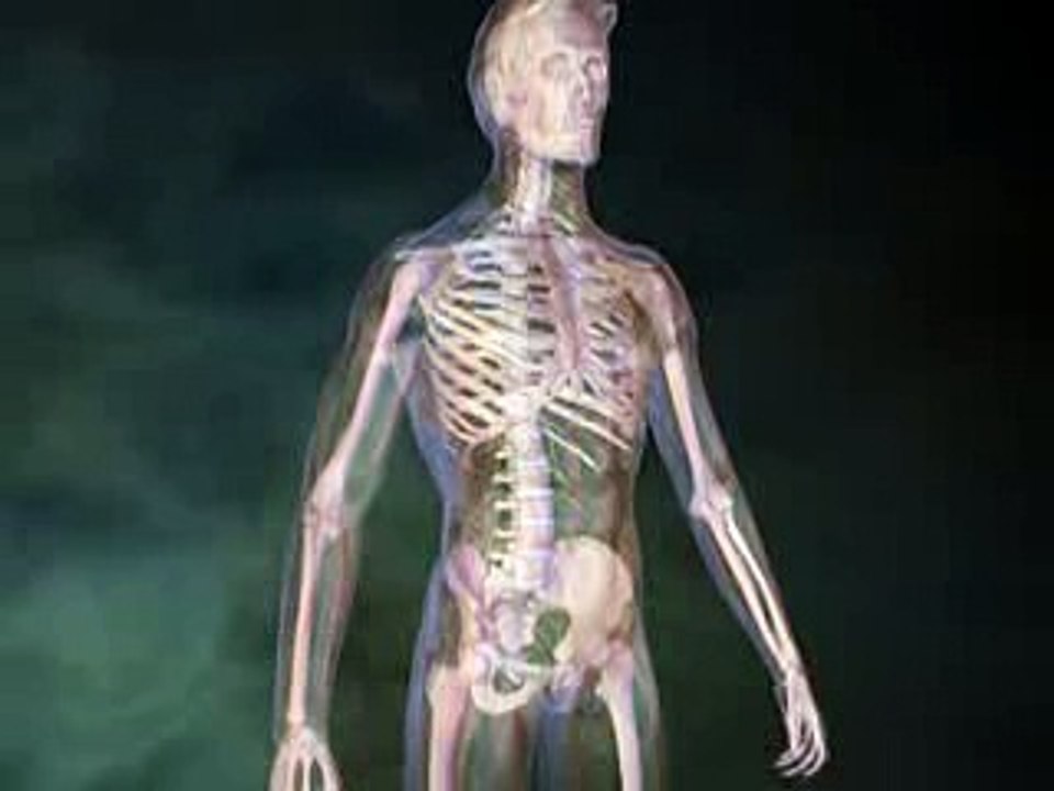 L'Assurance maladie veut réduire les arrêts de travail pour le mal de dos !