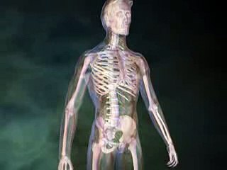 L'Assurance maladie veut réduire les arrêts de travail pour le mal de dos !