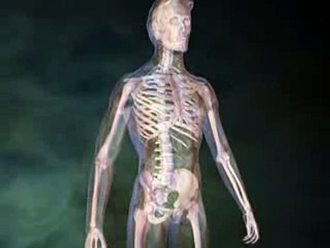 L'Assurance maladie veut réduire les arrêts de travail pour le mal de dos !