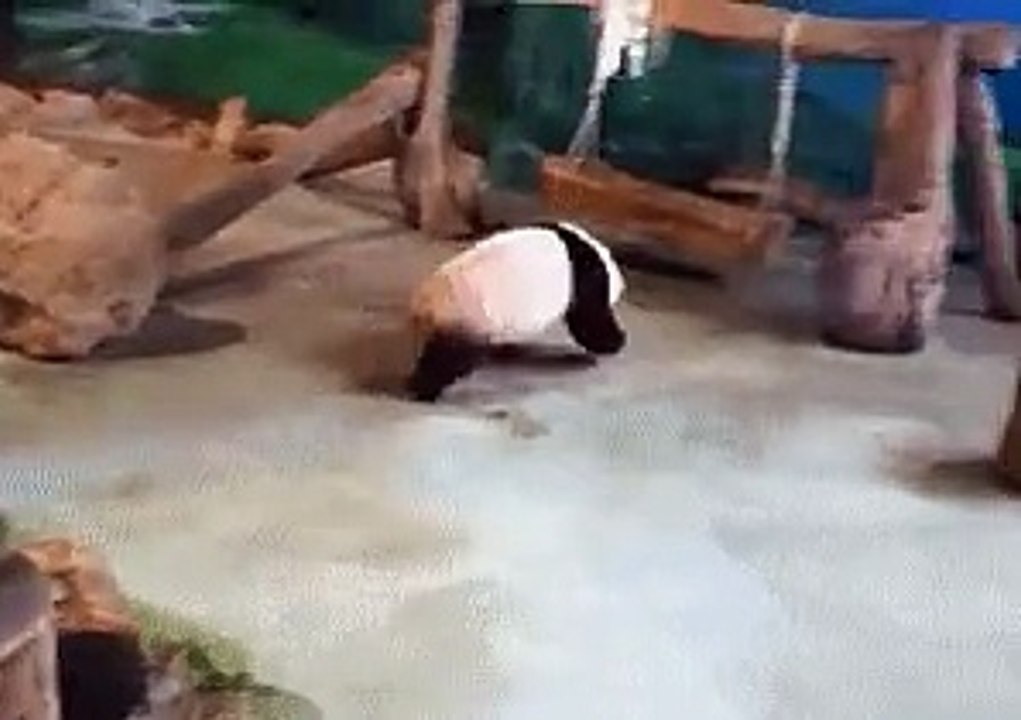 Когда пришел домой и хочешь быстро лечь спать, чтобы родители не спалили, что ты бухой