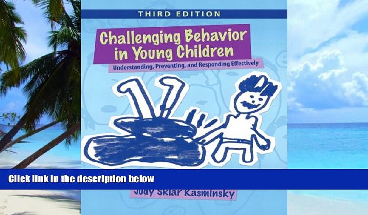 Big Deals  Challenging Behavior in Young Children: Understanding, Preventing and Responding