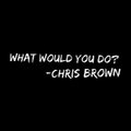 Chris Brown - What Would You Do- [New Song]