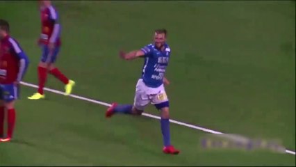 Un footballeur suédois expulsé pour être allé s'applaudir en tribunes !
