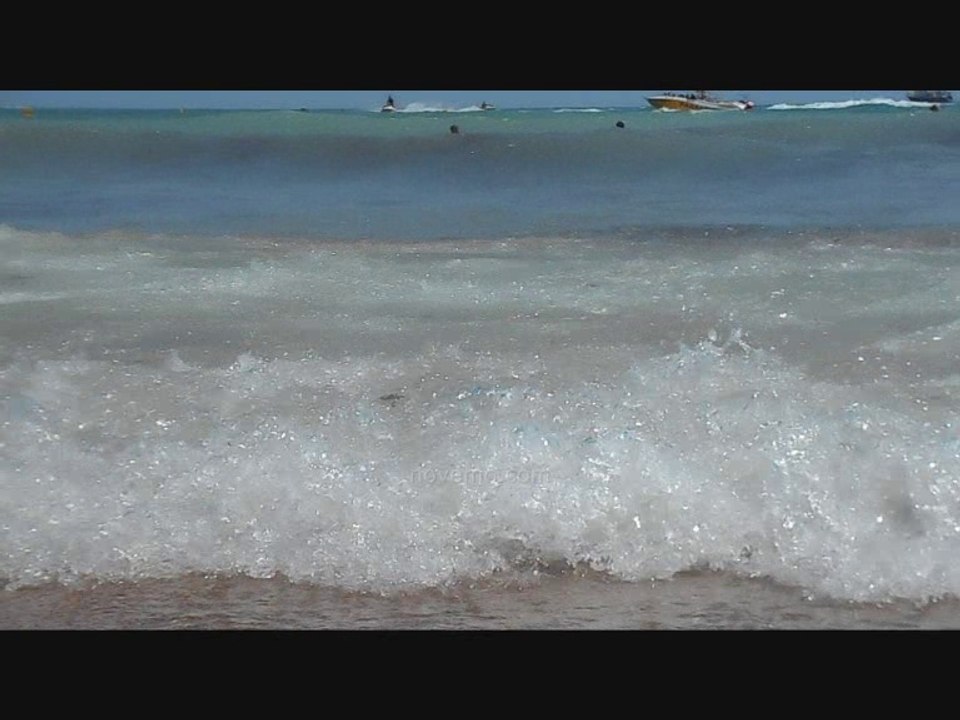 Ce que les gens cherchent le plus en été ? Une belle plage pour lézarder au soleil