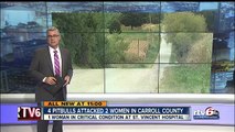 Four pit bulls attack two women in Carroll County