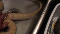 Python Farts in the Bath