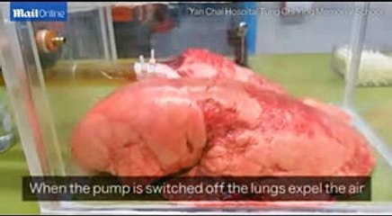 What Happens After Smoking 60 Cigarettes - Smoking Kills