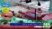 Congo Virus Spreading In Pakistan