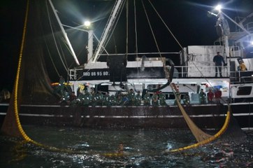 5 Saatlik Çabanın Ödülü 120 Kasa Balık Oldu