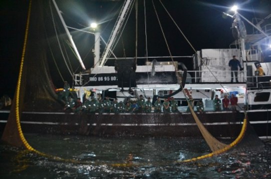 5 Saatlik Çabanın Ödülü 120 Kasa Balık Oldu