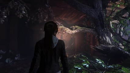 Rise of the Tomb Raider Zombies Gameplay (PS4)