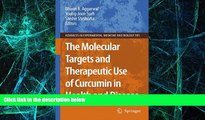 Big Deals  The Molecular Targets and Therapeutic Uses of Curcumin in Health and Disease (Advances