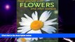 Must Have PDF  Heal Yourself with Flowers and Other Essences  Free Full Read Best Seller